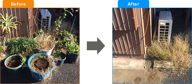 庭植木処分・観葉植物処分・土・プランター処分 Before,After 2