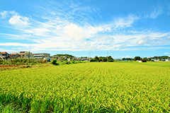 横浜市港南区イメージ1